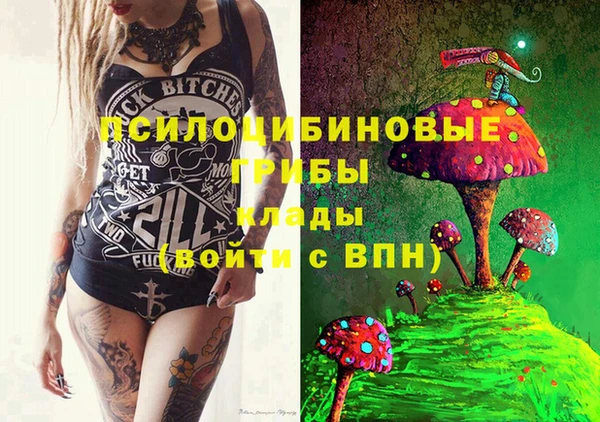 прущие крисы Абинск