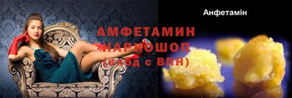 гашик Абаза