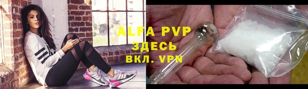 гашик Абаза