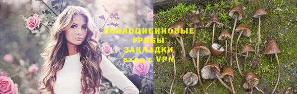 гашик Абаза