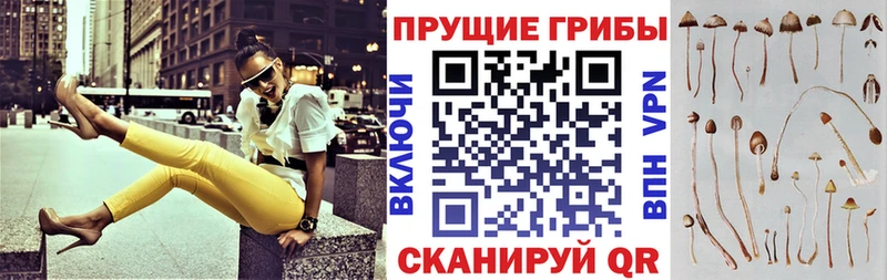 ссылка на мегу ONION  Райчихинск  Галлюциногенные грибы Psilocybe  цены  